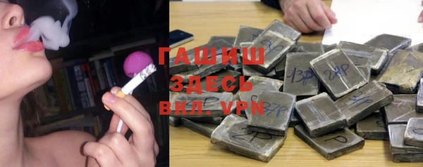 молекула духа Ельня