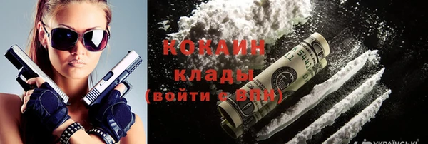 молекула духа Ельня