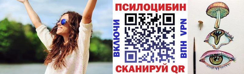 Псилоцибиновые грибы мухоморы  Купить закладки  Долгопрудный 