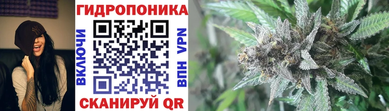 Канабис White Widow  Купить закладки  Долгопрудный 